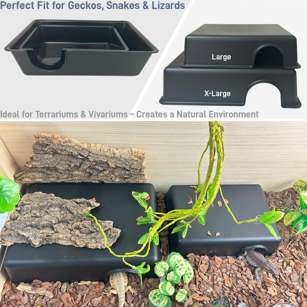 FCALIVV refuge dragon-barbu habitat sûr et pratique