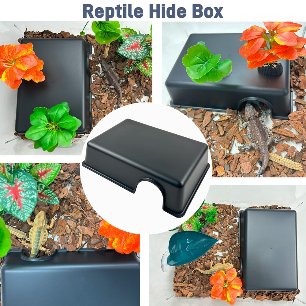 FCALIVV refuge reptile interieur spacieux pour plusieurs especes