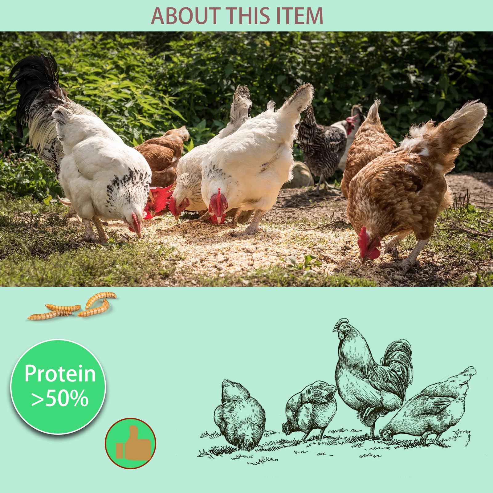 FCI GRUBS sans OGM ni additifs, qualité premium.