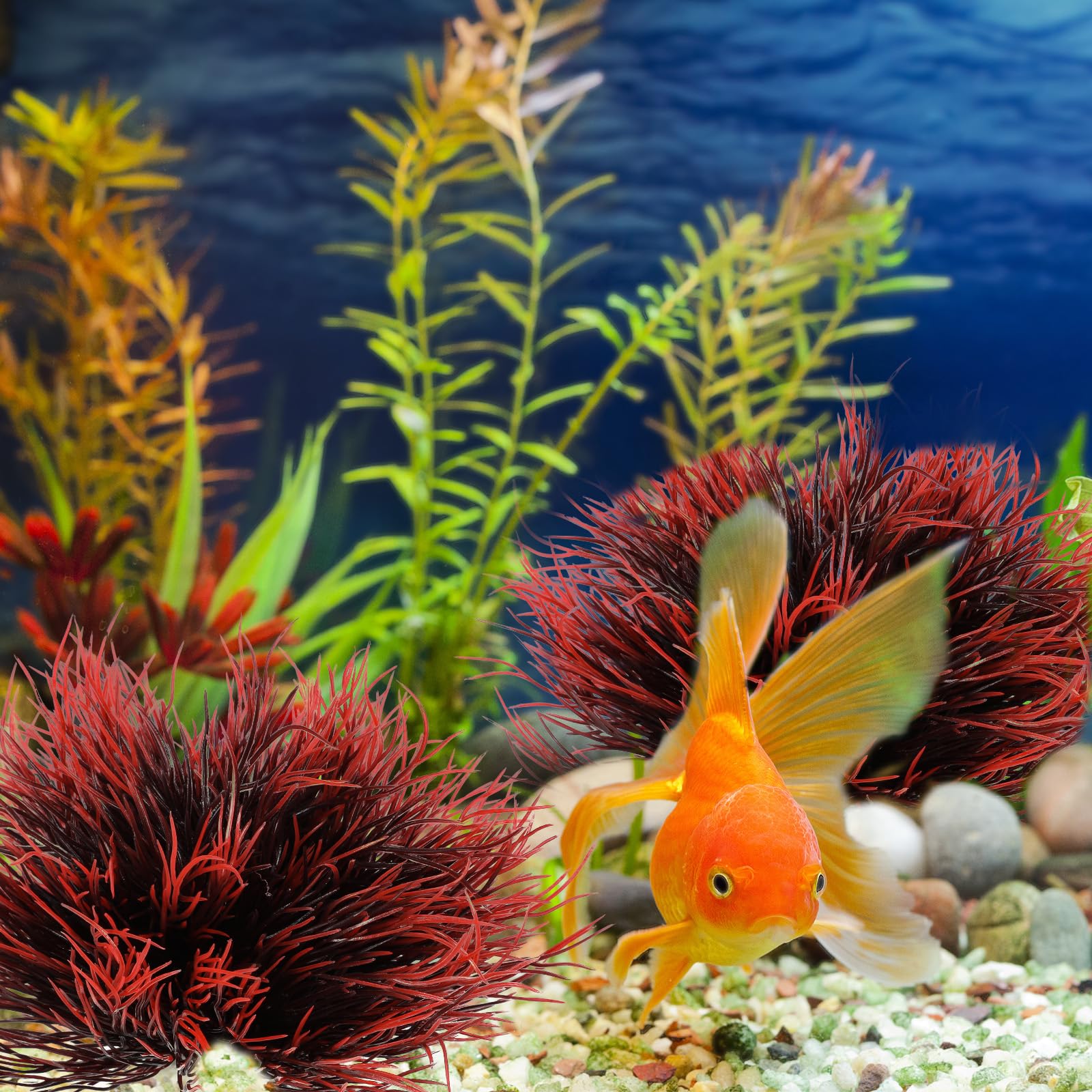 Base stable des plantes d'aquarium FdcLixuvol, évite le flottement et préserve l'apparence.