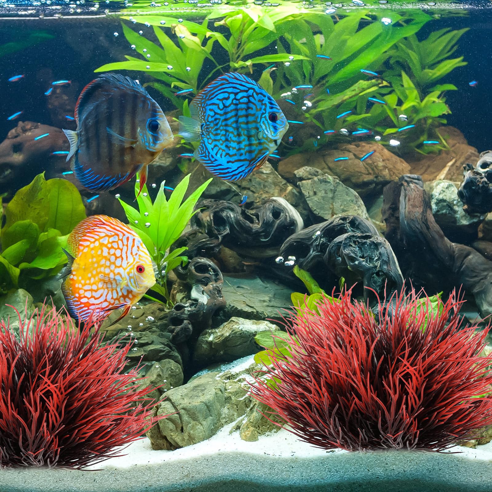 Décoration d'aquarium FdcLixuvol pour habitat poissonneux, améliore l'esthétique et l'ambiance.