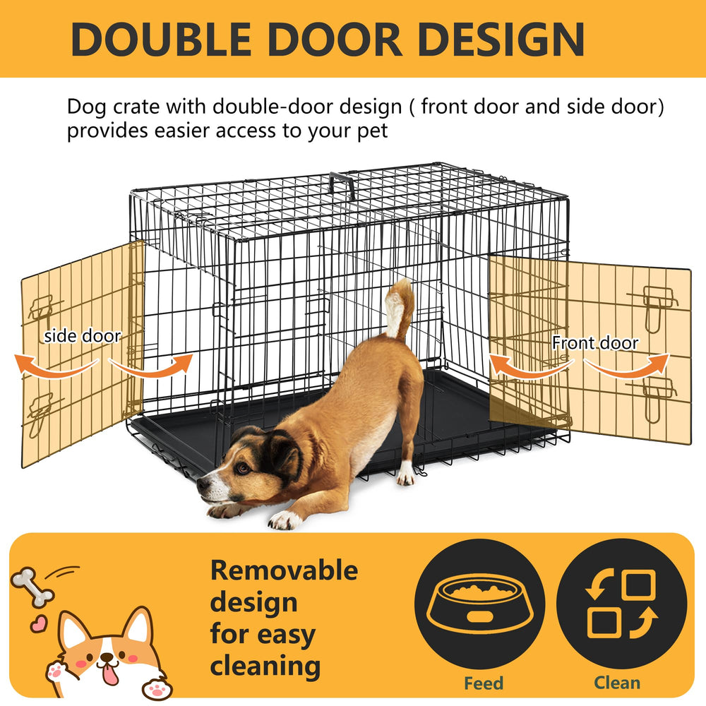FDW cage chien bac plastique amovible, nettoyage facilité.