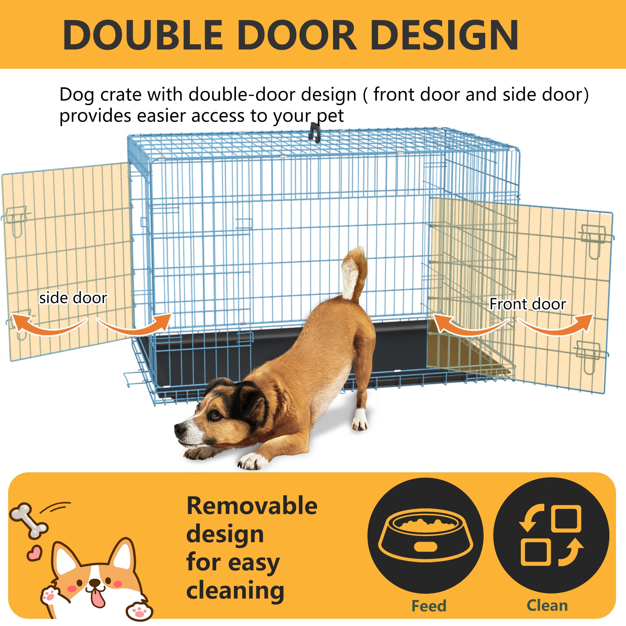 FDW cage moyen 36 pouces, plateau plastique détachable facilitant le nettoyage.