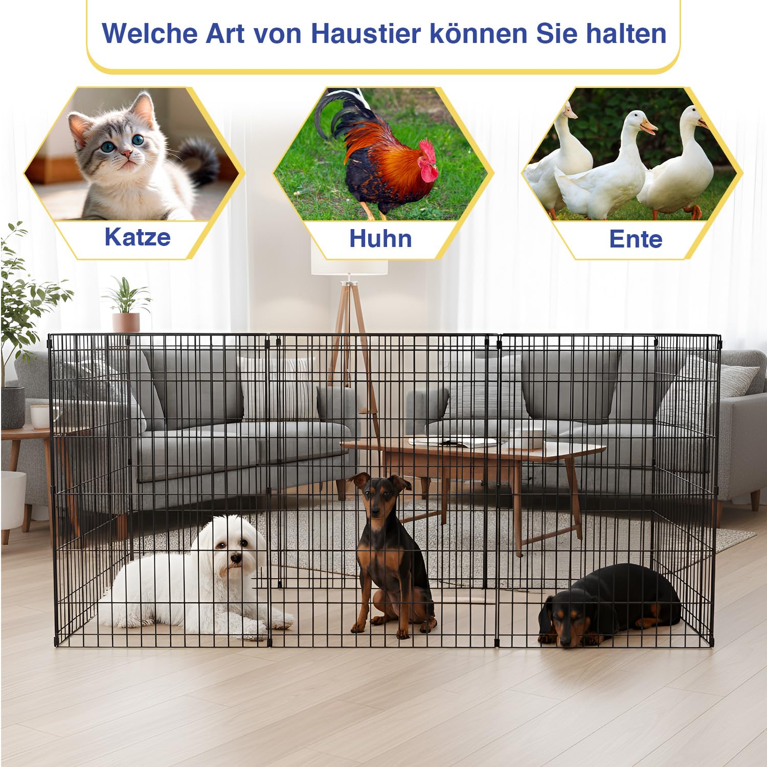 FDW parc 36-pouces, hauteur adaptée pour chiots et petits chiens.