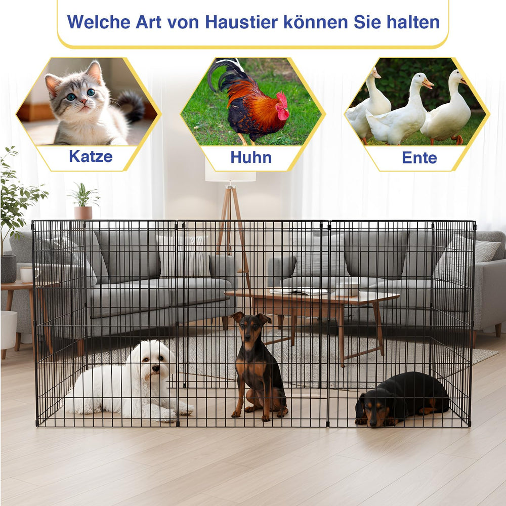 FDW parc 36-pouces, hauteur adaptée pour chiots et petits chiens.