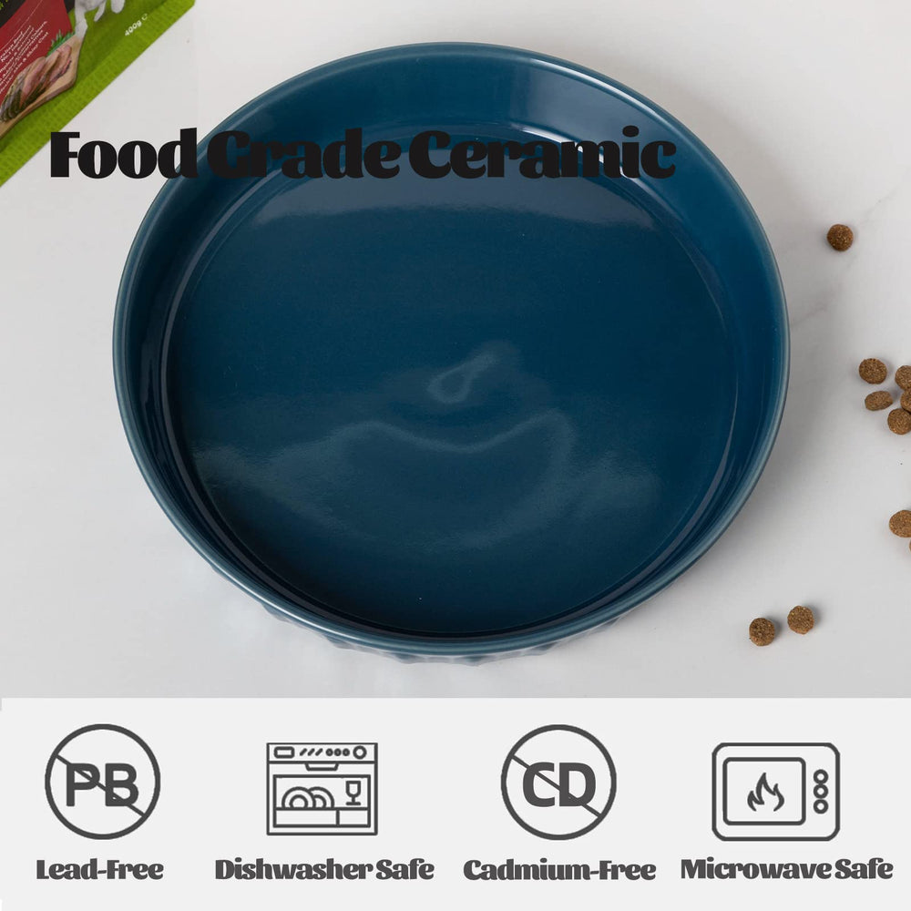 FE FUN ELEMENTS bol ceramique bleu, grand plateau pour repas sans encombrement
