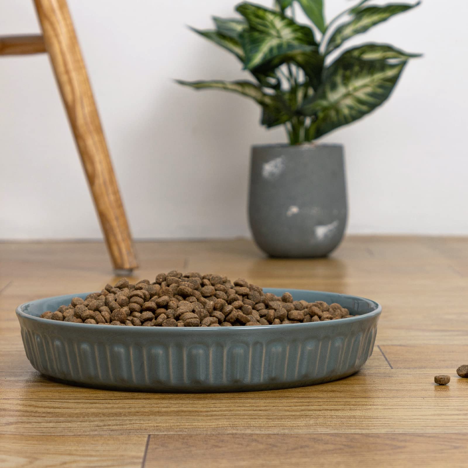 Bol FE Fun Elements polyvalent pour chiens et chats, usage familial.