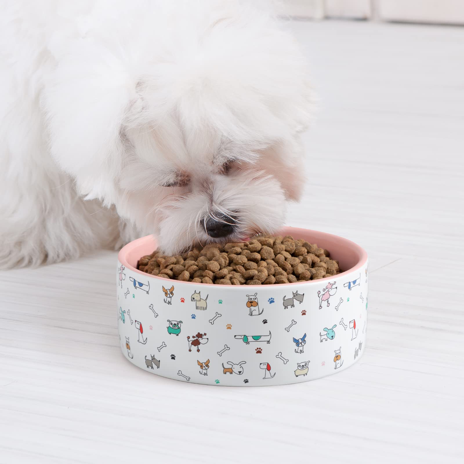 Capacité 473 ml, idéale pour hydrater et nourrir votre petit chien.