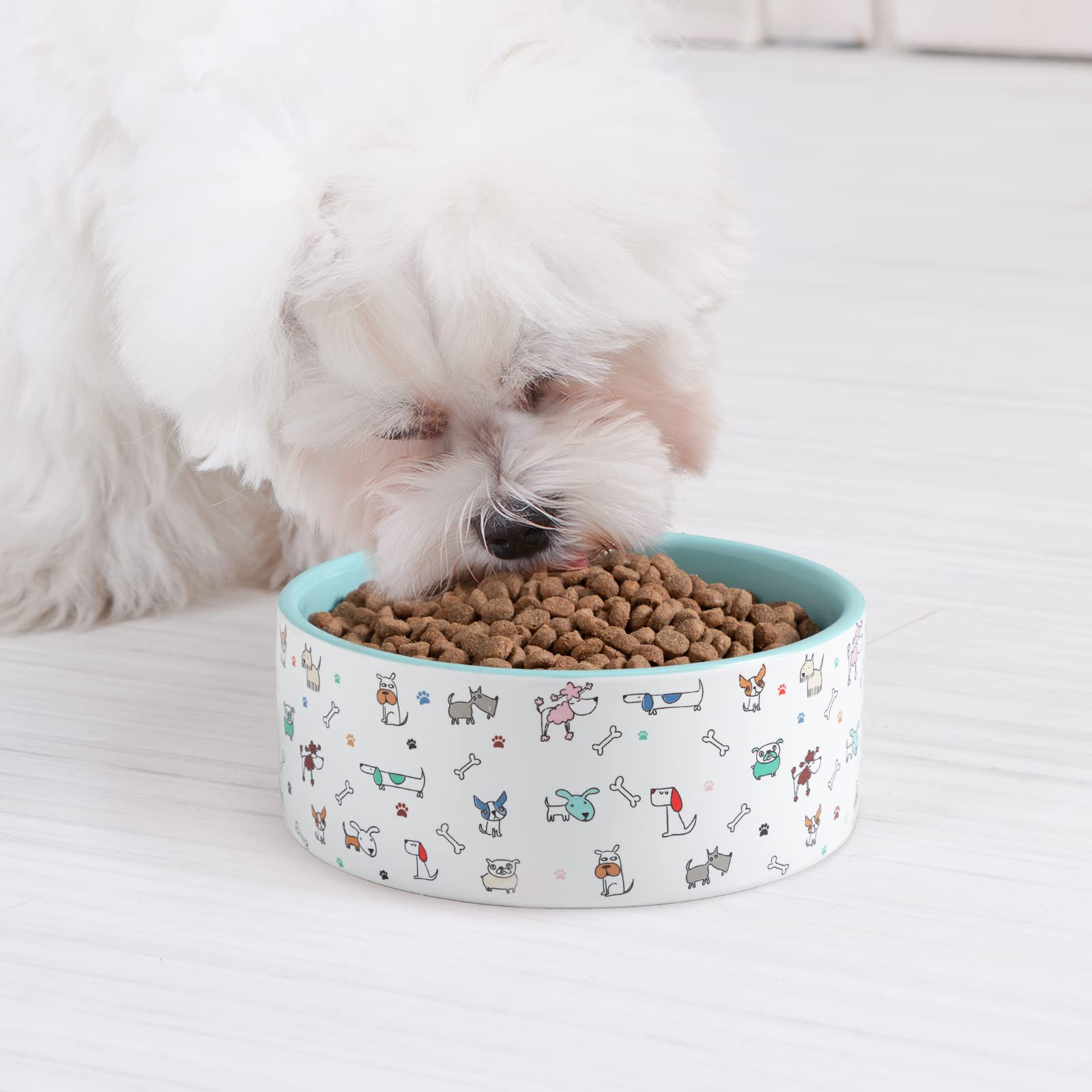 Capacité 64 oz, parfait pour les chiens de grande taille.