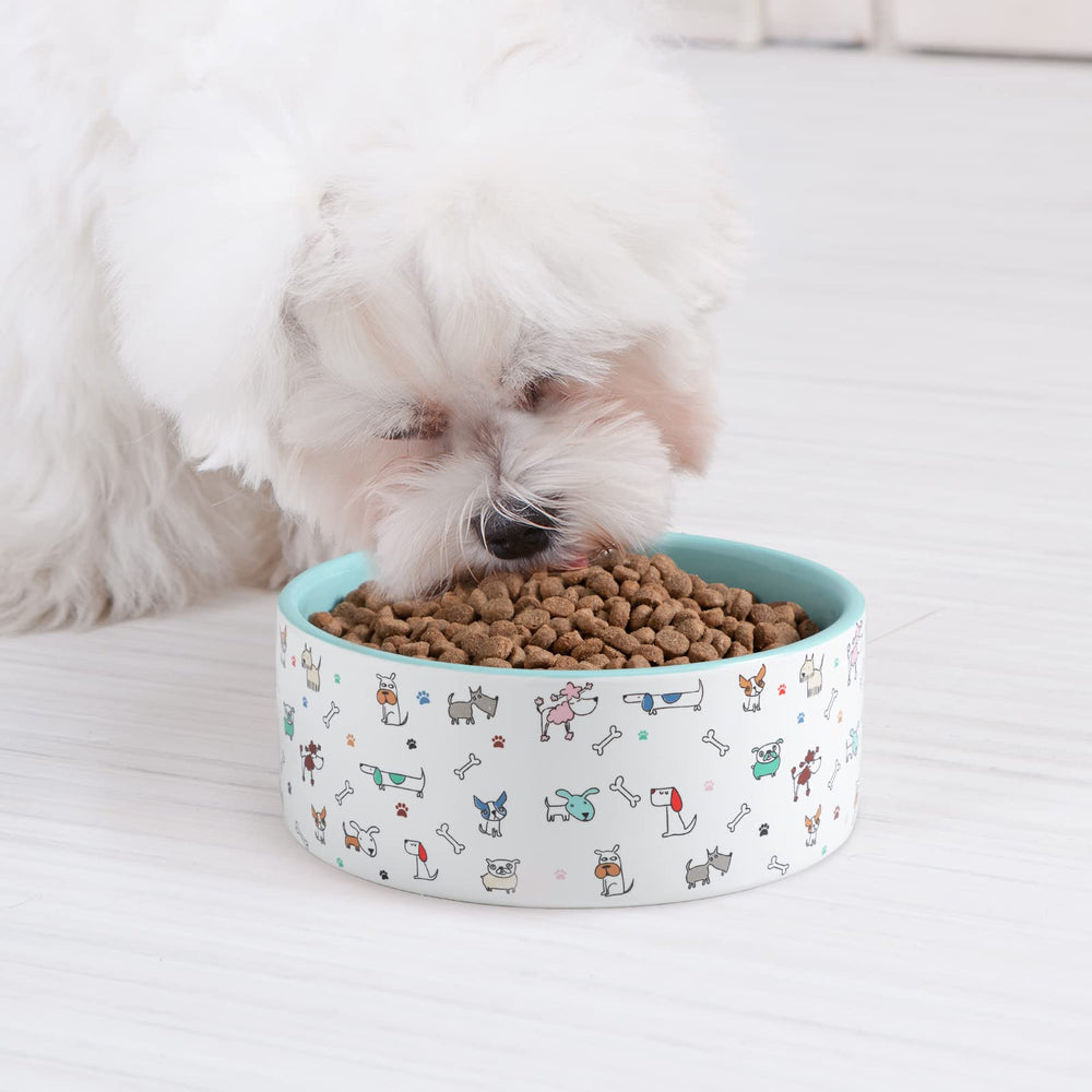 Capacité 64 oz, parfait pour les chiens de grande taille.
