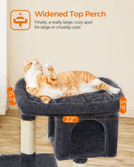 Feandrea arbre chat cave basse porte simple, coin douillet et sieste assurée