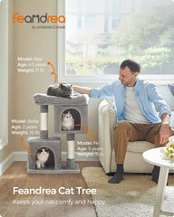 Feandrea Arbre Chat Cavités Doubles: vue panoramique et accès facile.
