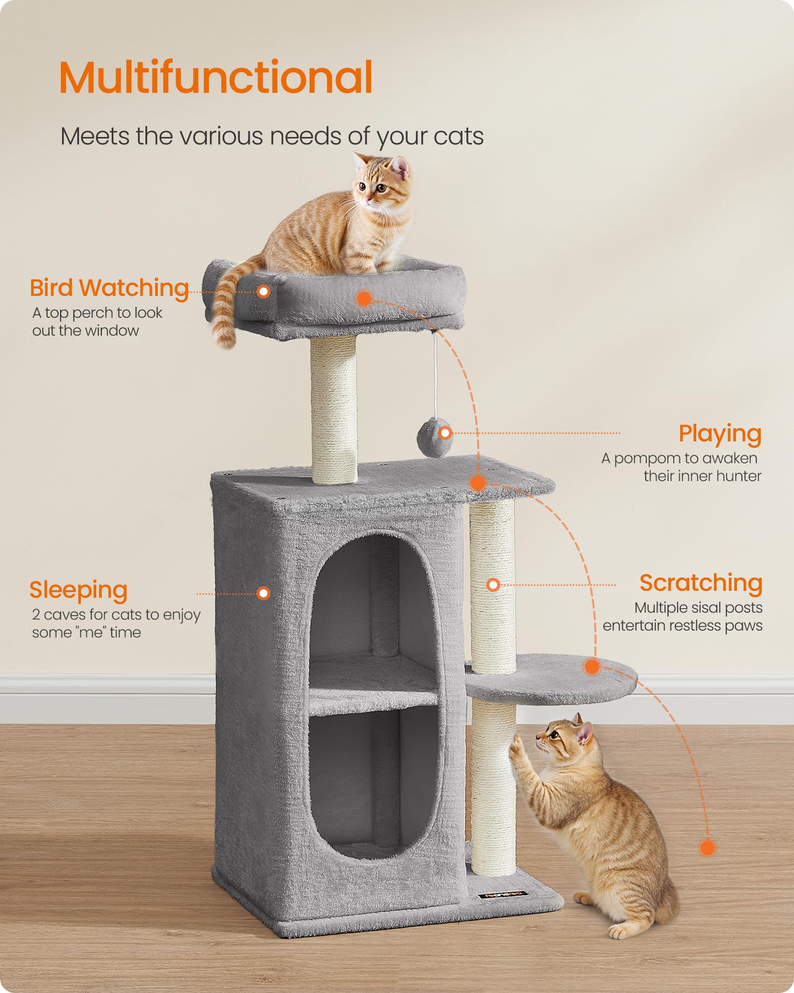 Feandrea arbre-chat perchoir: vue d’ensemble et observateur en hauteur.