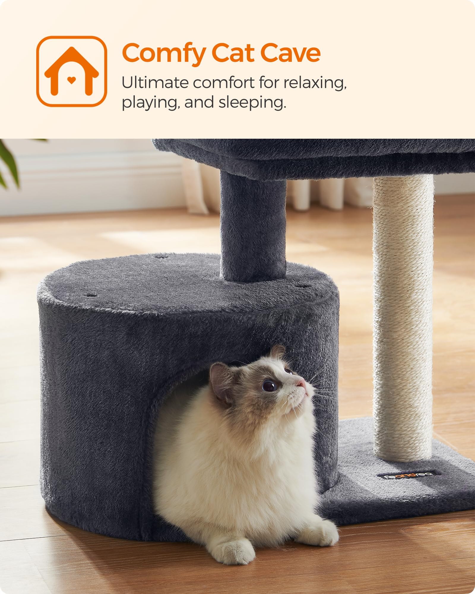 Feandrea arbre chat petit espace réduit, structure durable pour chats actifs