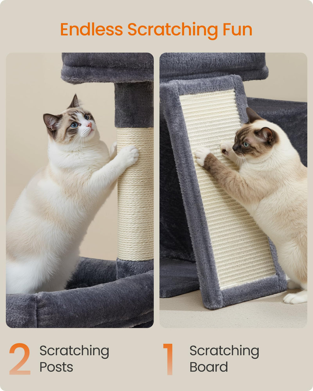 Feandrea arbre chat surface rembourrée gris foncé, confort doux pour se blottir