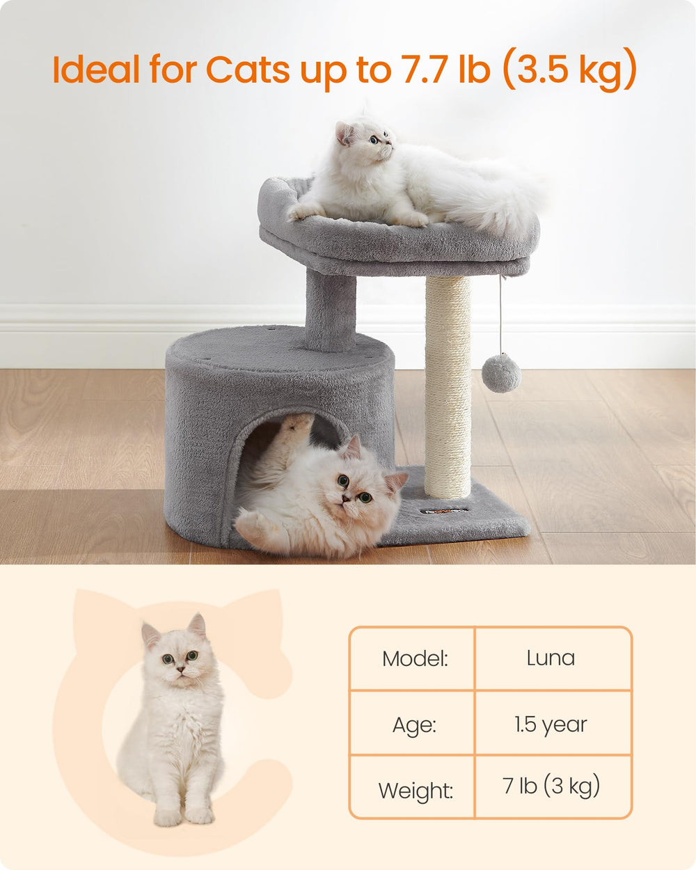 Feandrea Base-stable Tour chat : structure robuste pour jeux actifs en petits espaces.