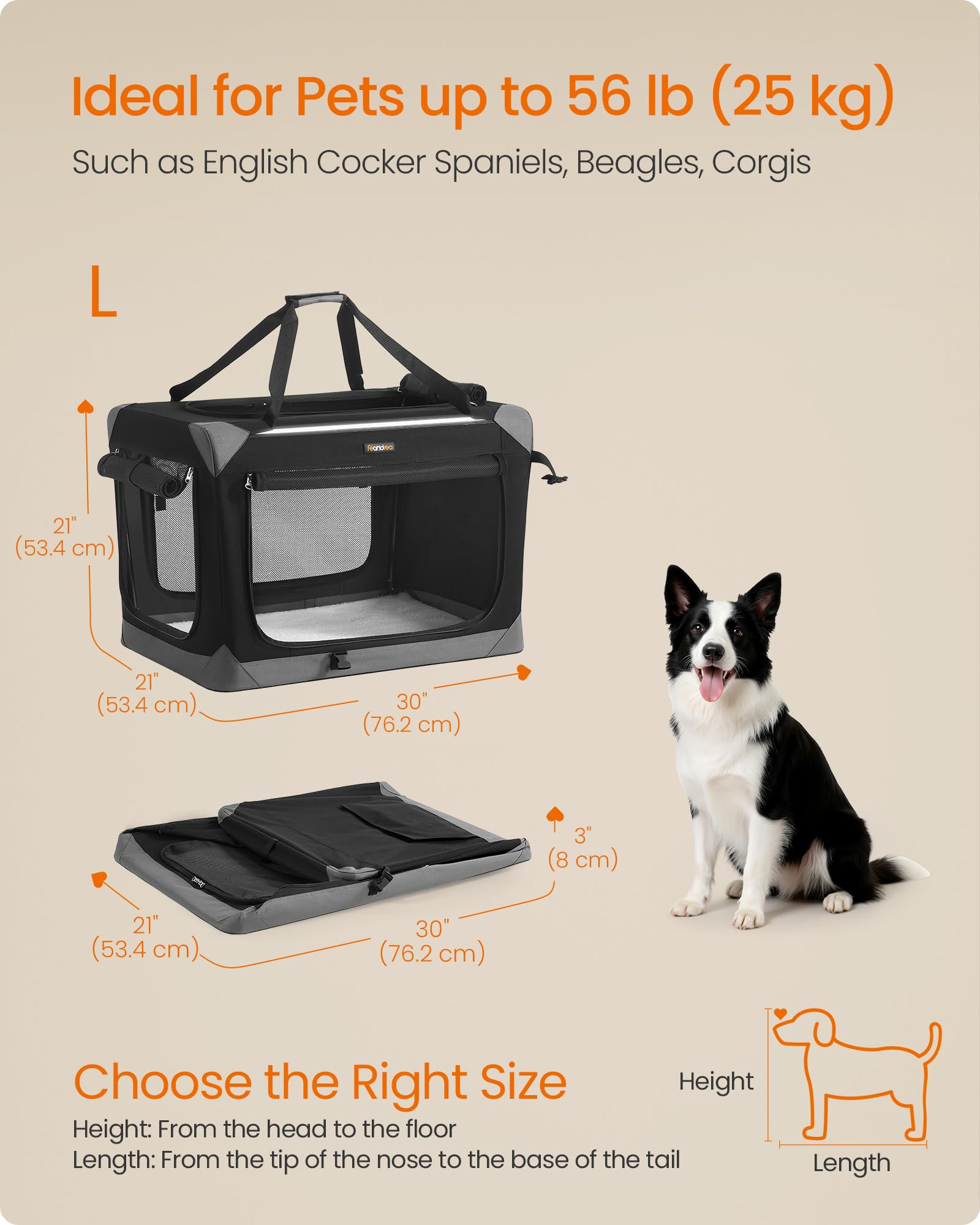 Dimensions 30 pouces Feandrea cage pour chien moyen, taille adaptée
