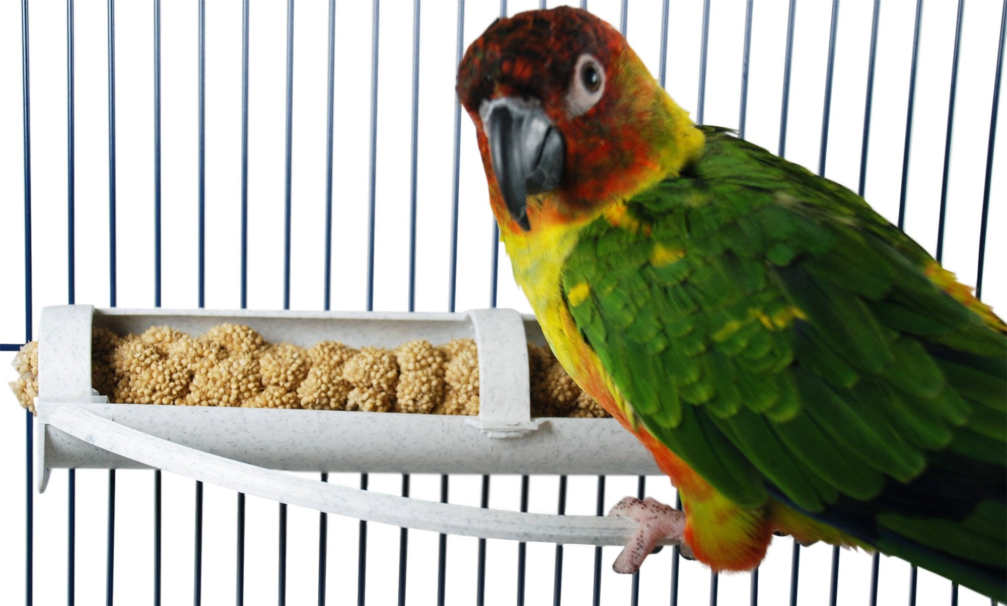 FeatherSmart Porte-millet horizontal fixé au cage pour un accès facile au millet.