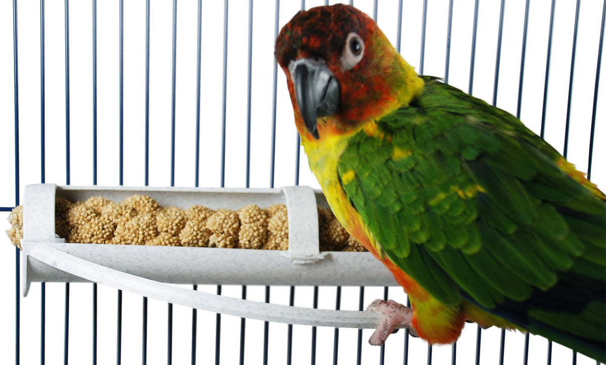 FeatherSmart Porte-millet horizontal fixé au cage pour un accès facile au millet.