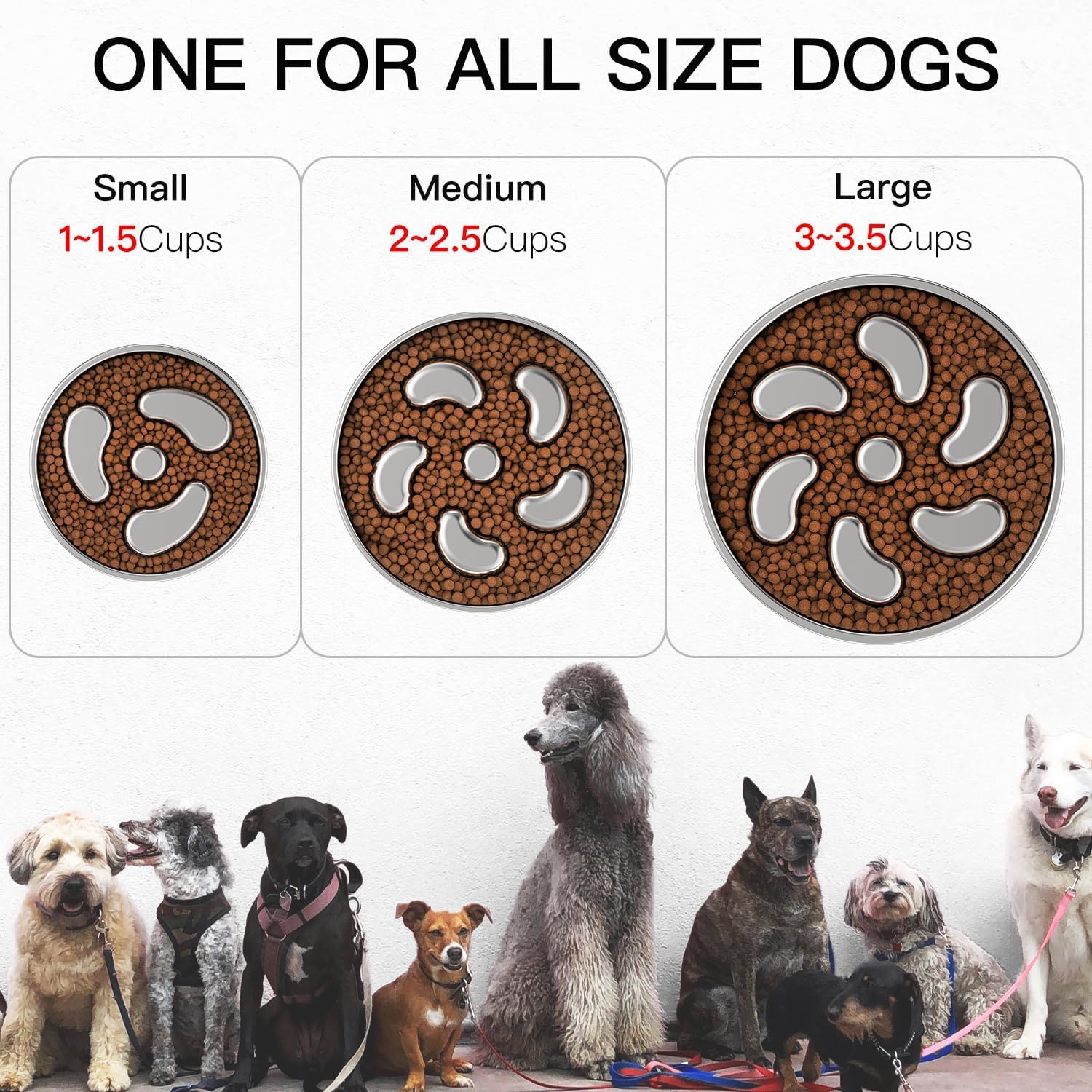 Feedoo bol inox double couche, durable et hygiénique pour chiens.