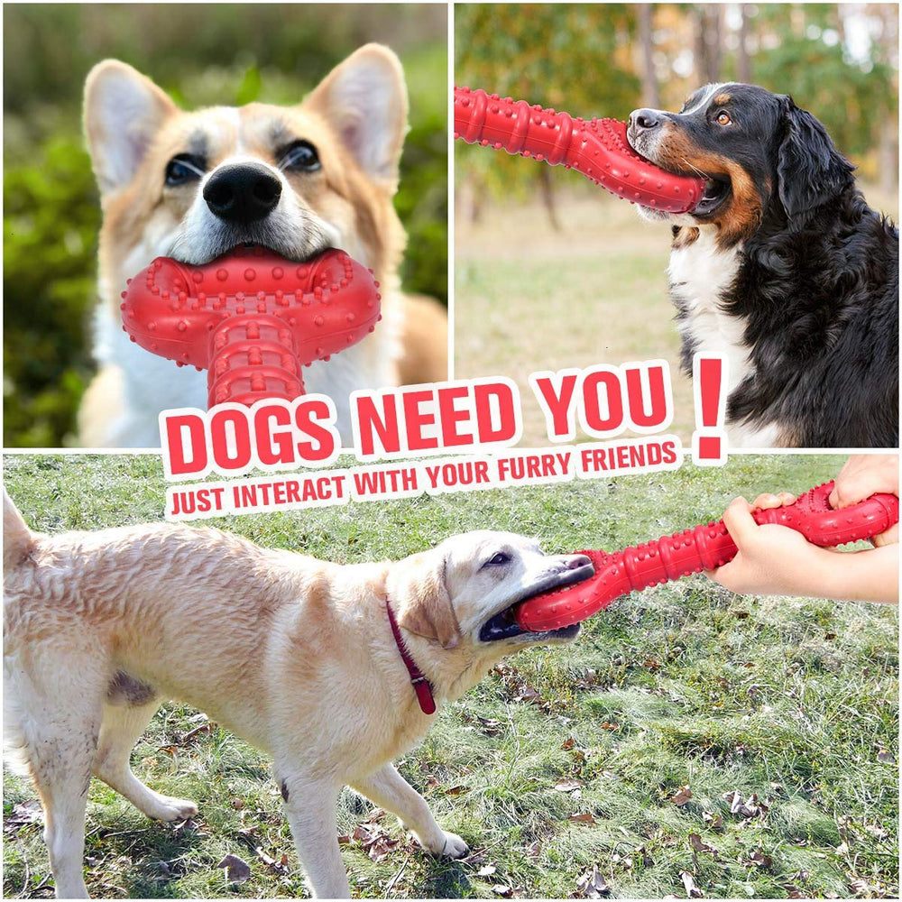 Feeko cadeau idéal pour anniversaire ou adoption, accessoire ludique pour chien.