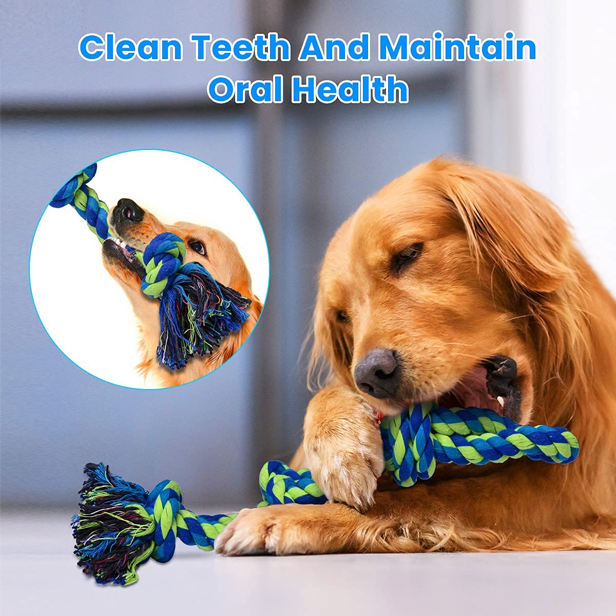 Feeko jouet tir de guerre interactif pour chiens actifs.
