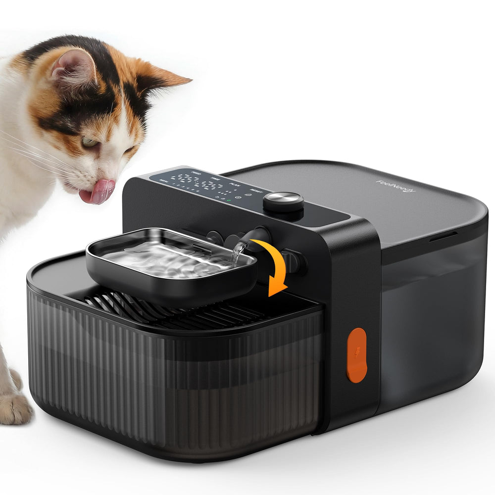 FEELNEEDY fontaine-chat-sans-fil en action, eau fraîche toujours prête.