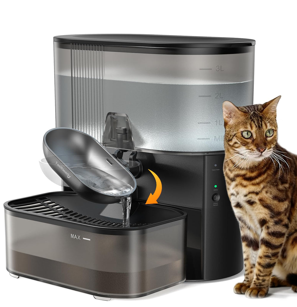 Fontaine FEELNEEDY pour chats en acier inoxydable, hygiène durable.