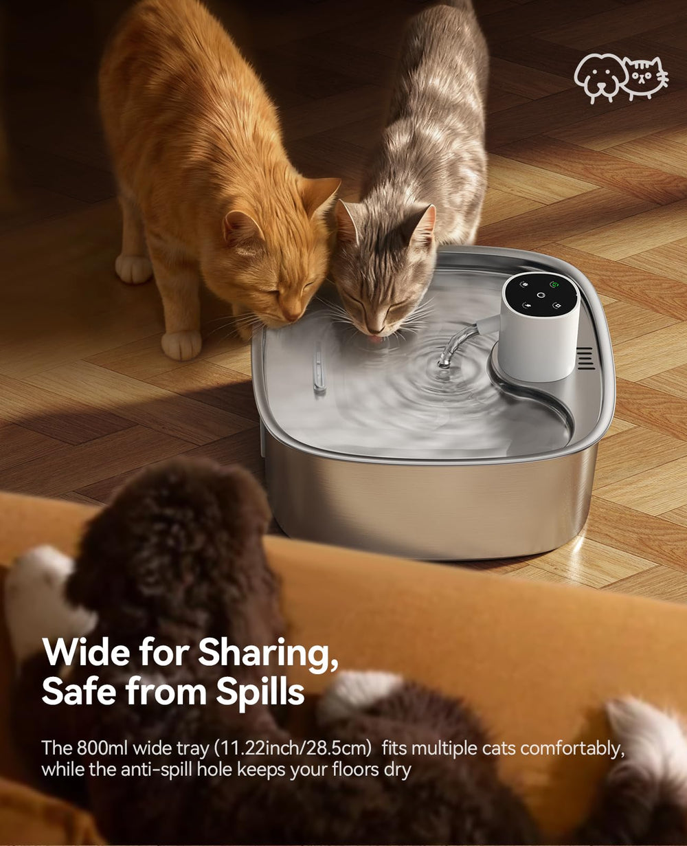 FEELNEEDY inox 304, eau plus propre et durable.
