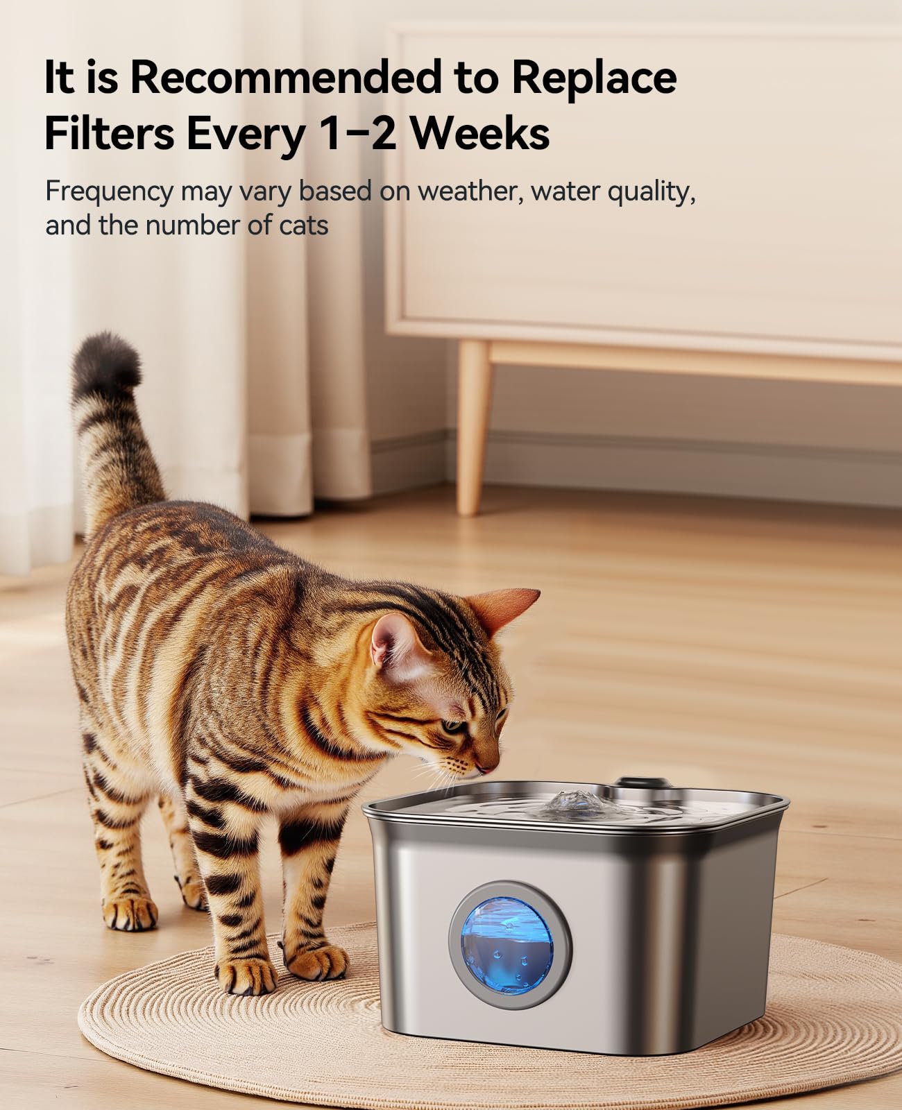FEELNEEDY filtre 4 étages, eau plus claire pour les animaux.