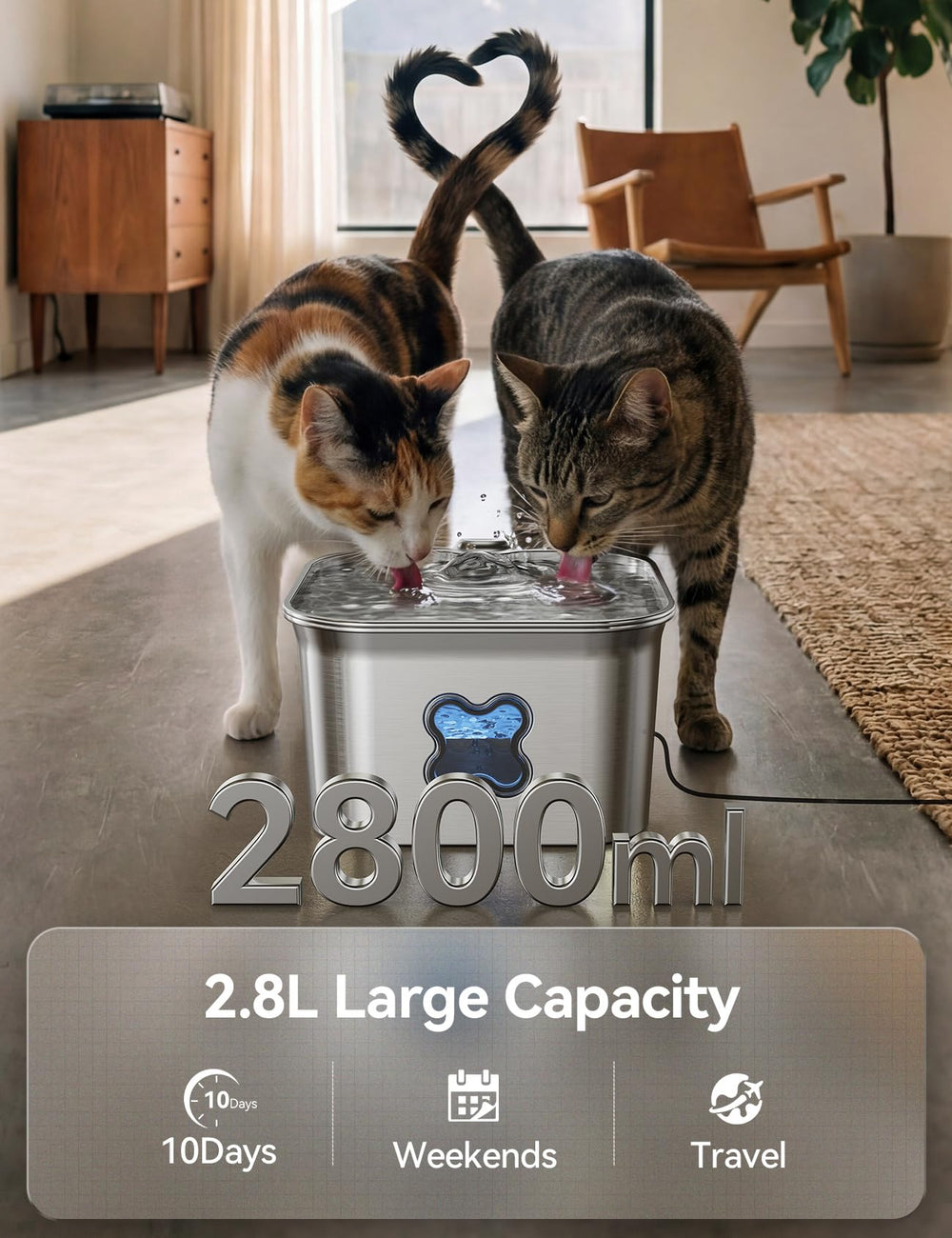 FEELNEEDY fontaine-chat-capacite-2-8l – réservoir généreux, moins de remplissages.