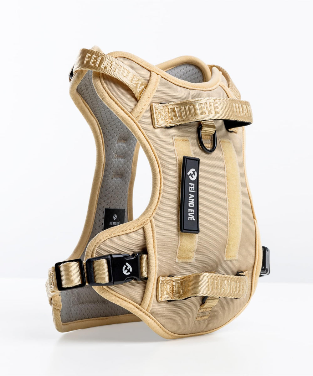 Harnais Fei et Eve Classic — quatre sangles ajustables pour un ajustement optimal.