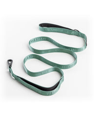 Laisse Fei et Eve Classic 4 pieds verte idéale pour promenades urbaines.