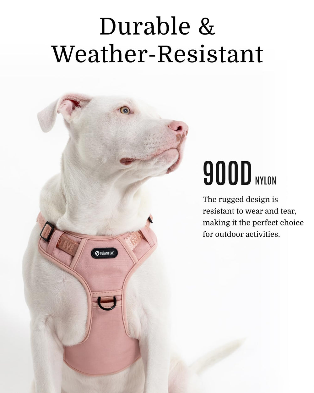 Fei & Eve MagEase: hub MOLLE pour patches personnalisables.