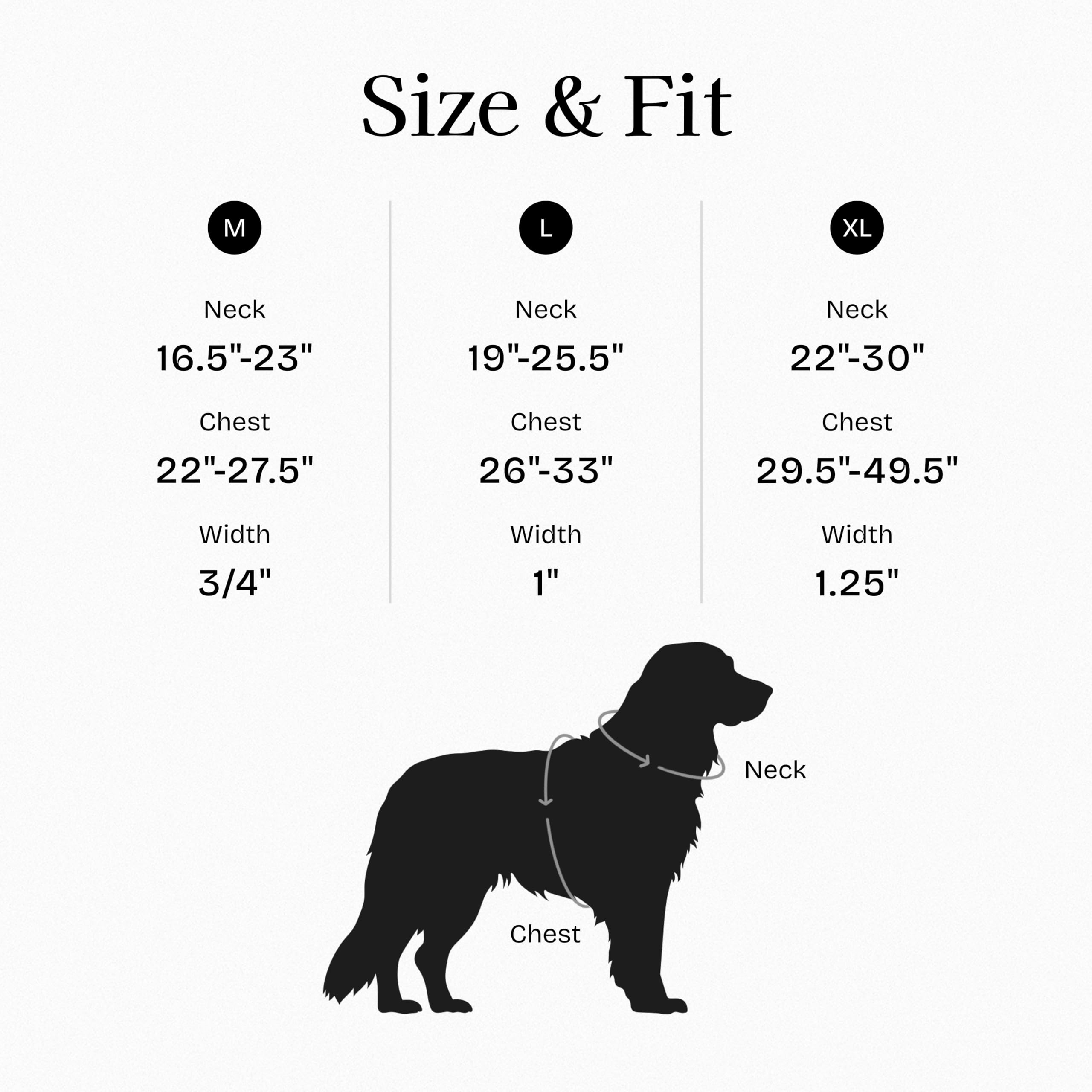 Guide des tailles Fei & Eve Moxie pour un ajustement sûr.