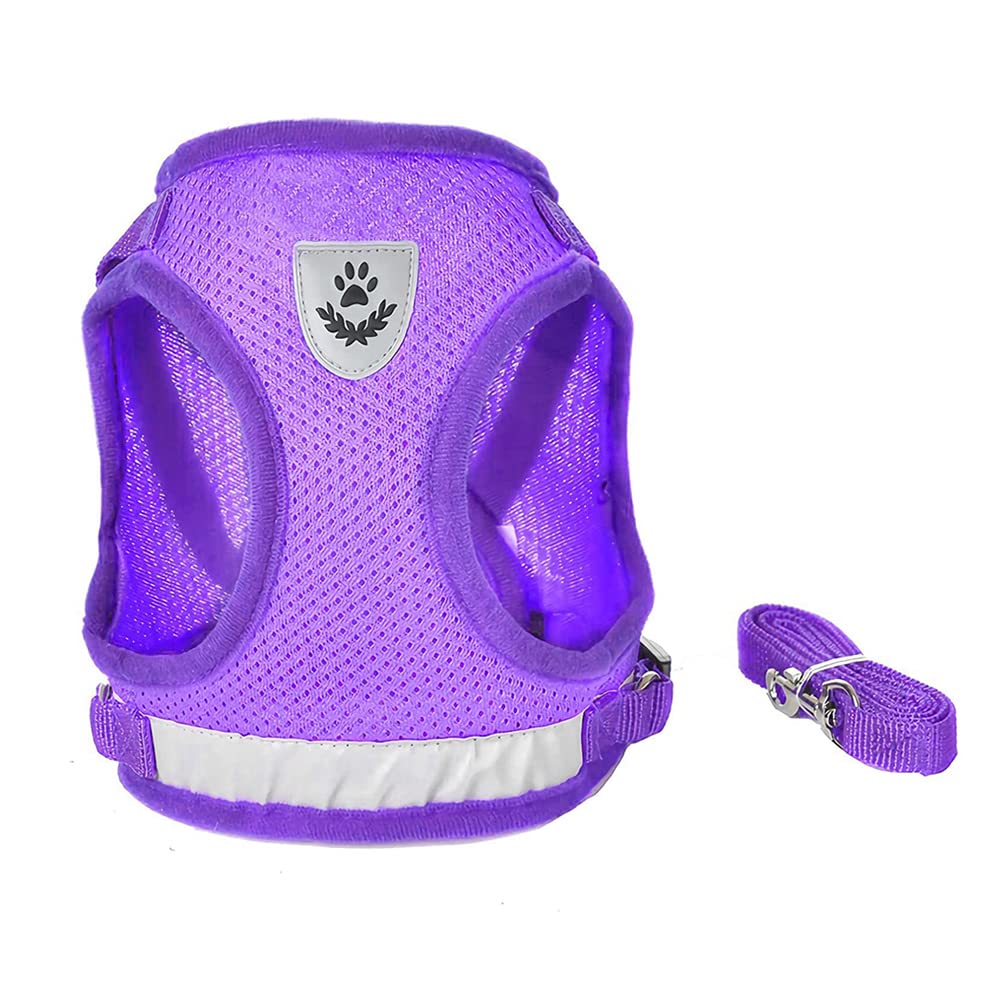 FEimaX harnais-chien-maille-aeree, confort respirant pendant les balades.