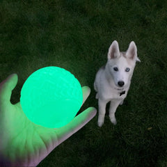 Balle lumineuse Feixun, durable et sûre pour le fetch nocturne.