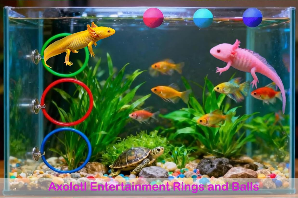 Fejapa balles flottantes axolotl stimulent l’exploration et l’amusement.