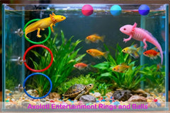 Fejapa balles flottantes axolotl stimulent l’exploration et l’amusement.