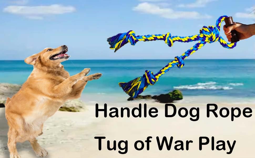 Fejapa jouet durable, conçu pour les chiens qui mâchent fortement au quotidien.