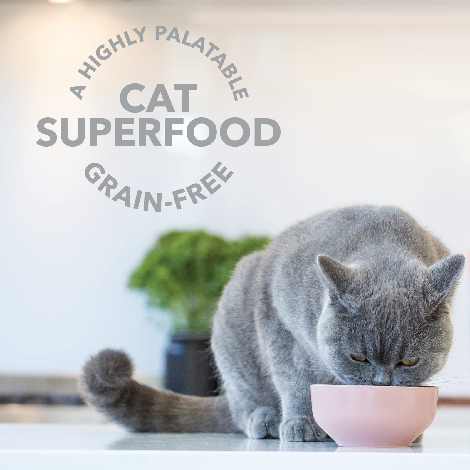 Feline Natural indique un soutien digestif potentiel avec probiotiques et enzymes.