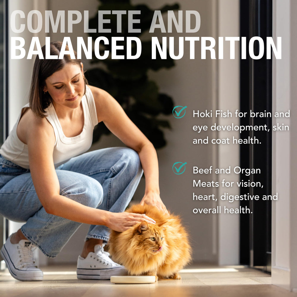 Feline Natural hoki et boeuf, ingrédients Nouvelle-Zélande et protéines élevées.
