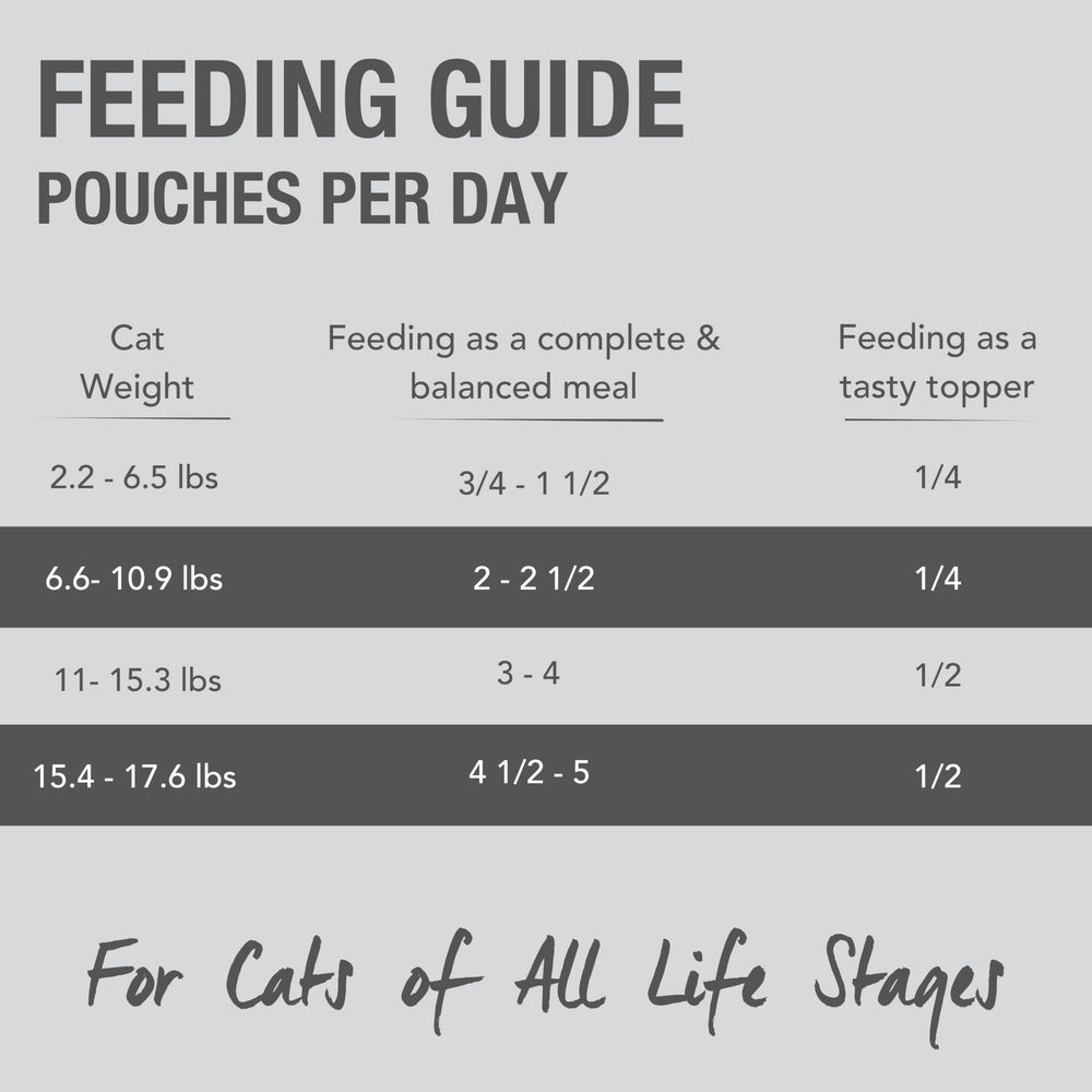 Hydratation naturelle avec pâté humide Feline Natural pour chat.