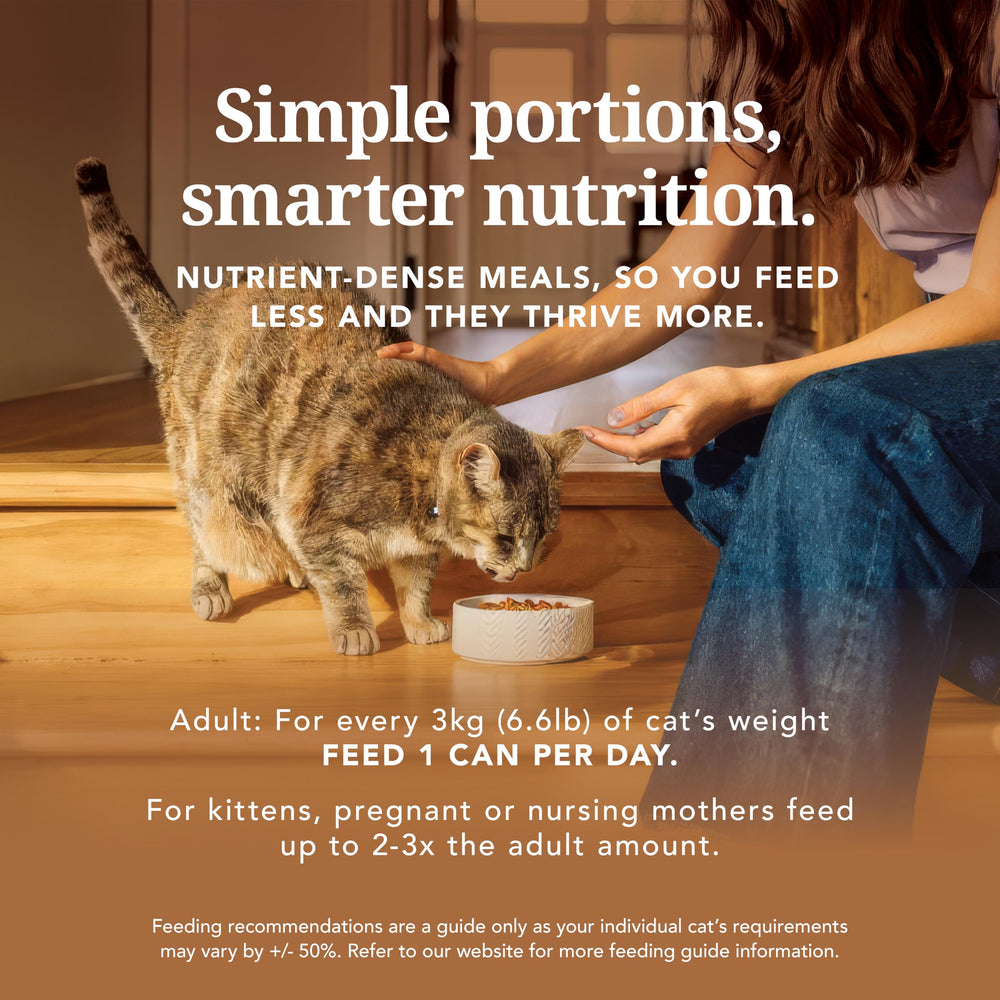 Feline Natural pack 12 boîtes 170 g, pratique et économique.
