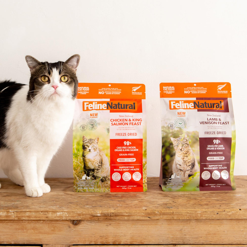 Réhydratation facile de Feline Natural pour une texture douce