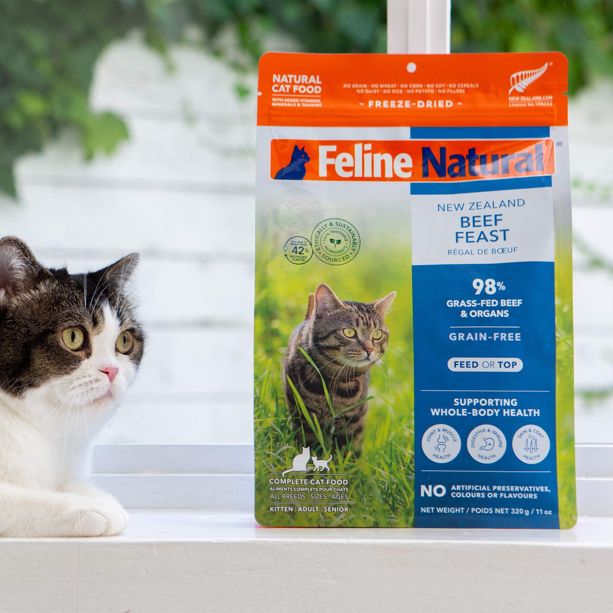 Feline Natural protéines haute densité, régime adapté aux chats actifs.