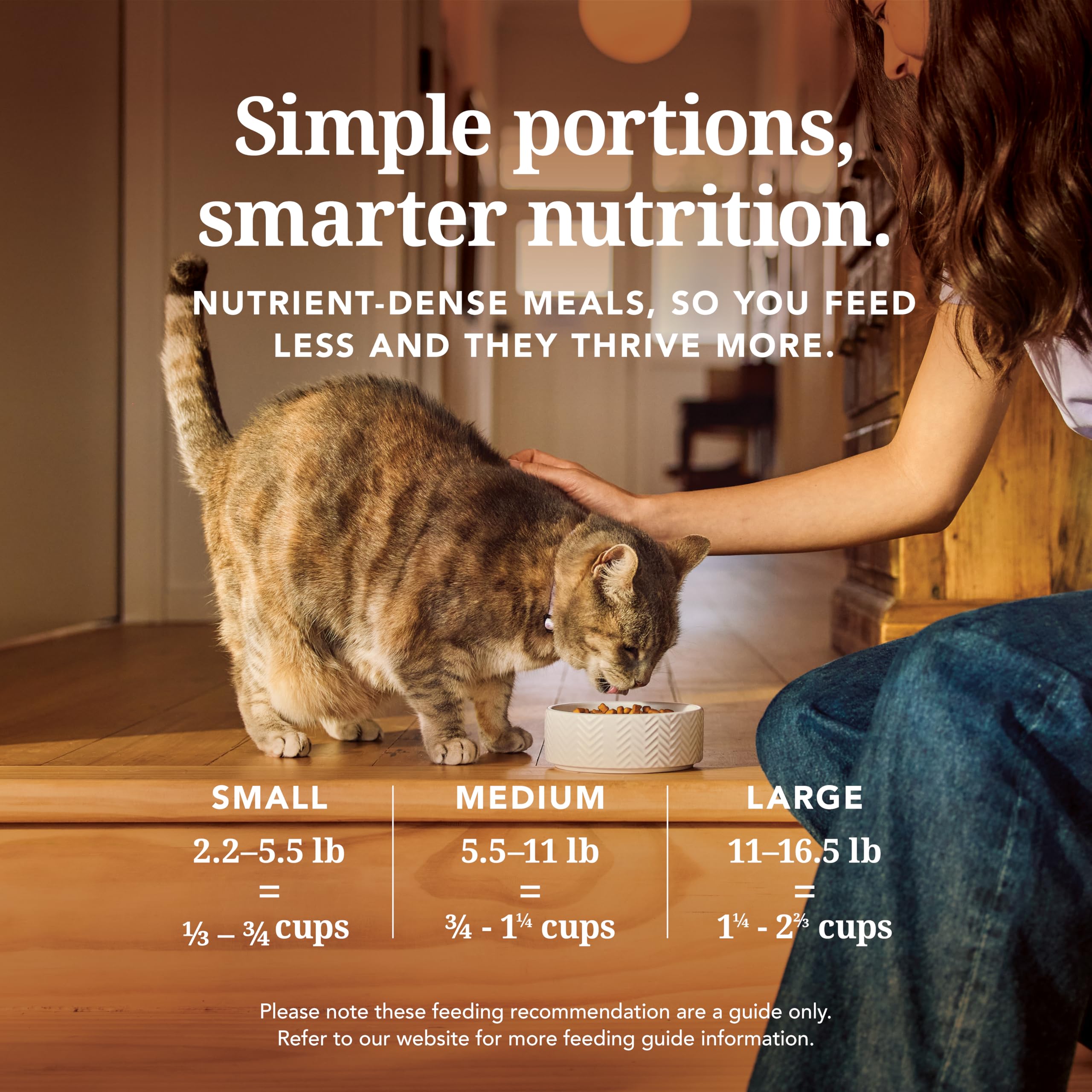Feline Natural sécurité alimentaire Nouvelle-Zélande – contrôles qualité renforcés.