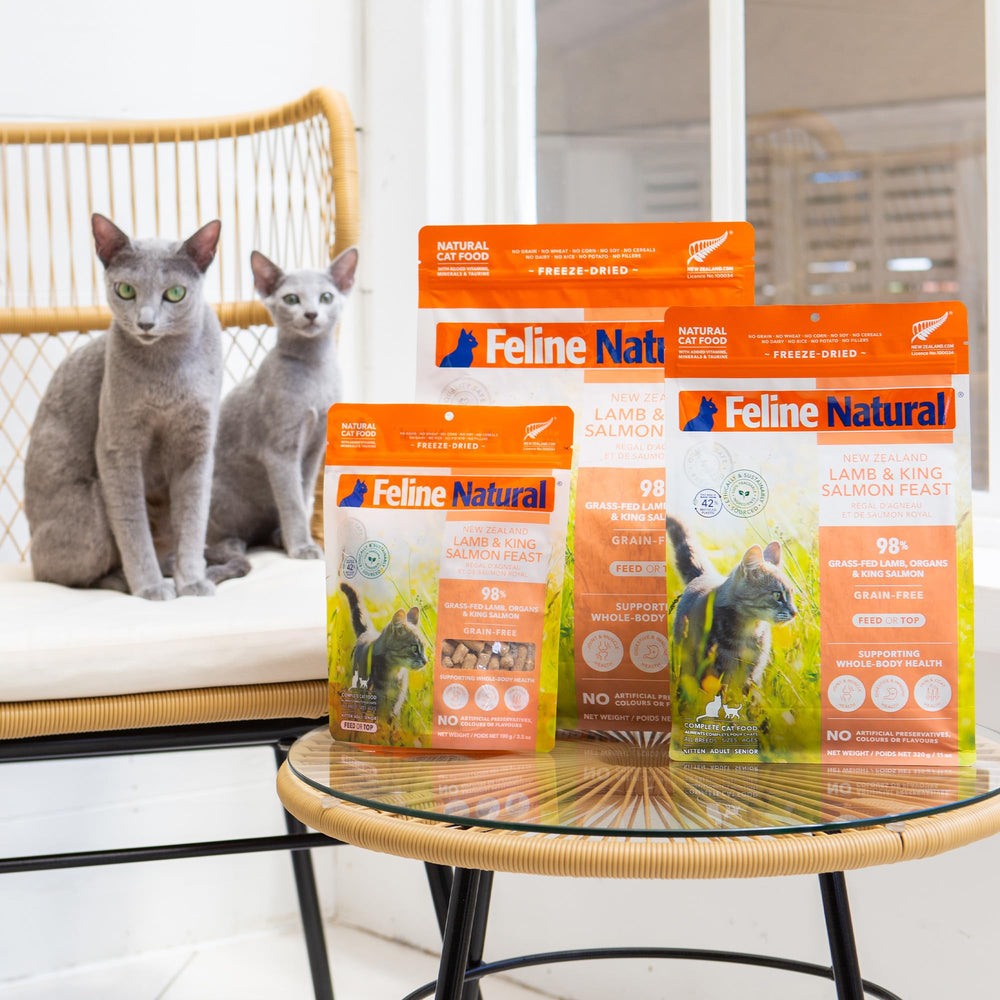 Feline Natural Portions et conseils d’alimentation adaptés à votre chat.