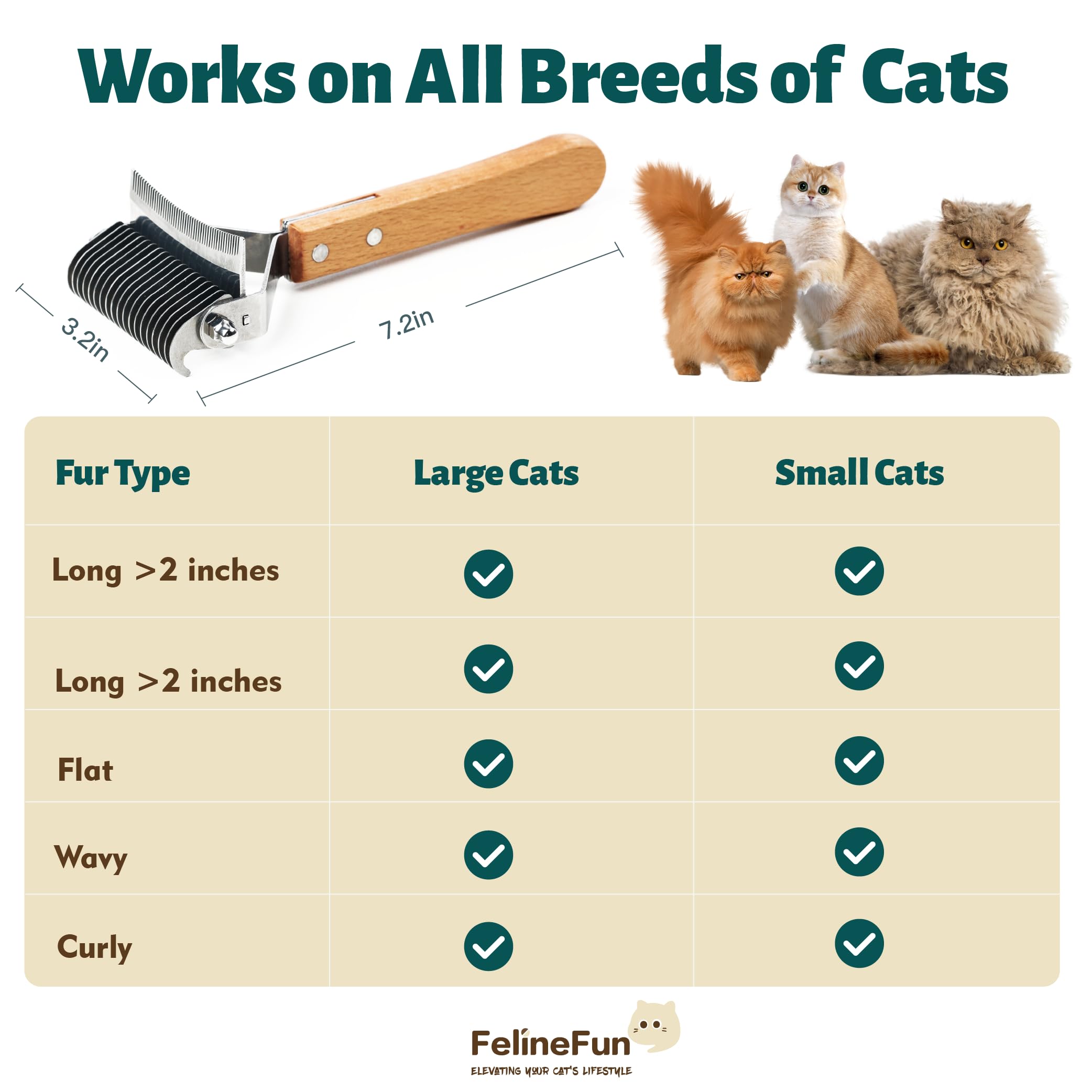 Utilisation rapide Felinfun: brossage efficace en quelques minutes.
