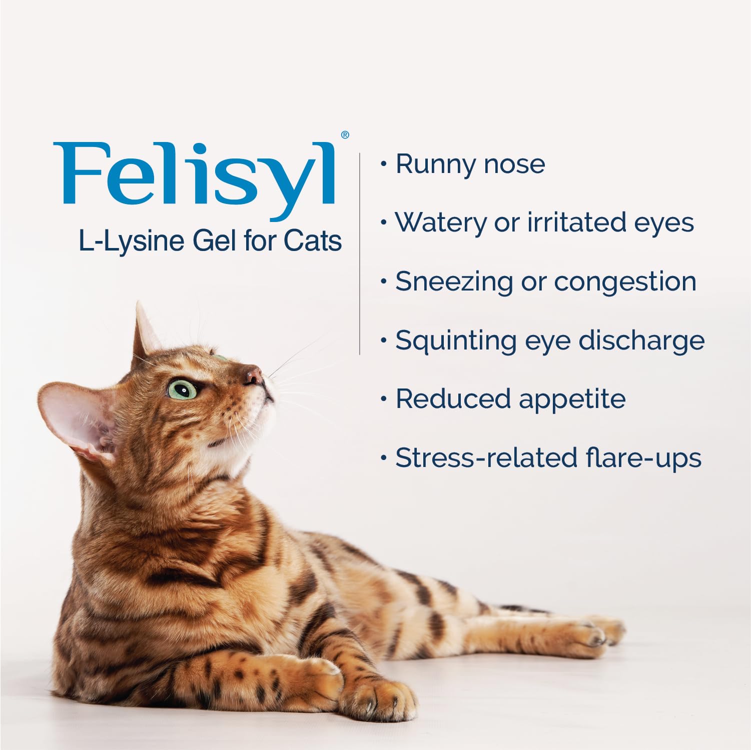Saveur saumon Felisyl L-Lysine, supplément apprécié au quotidien.